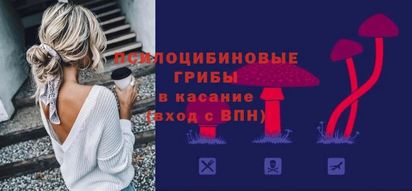 первитин Богородск