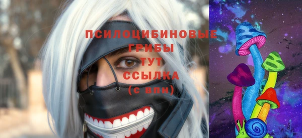 первитин Богородск