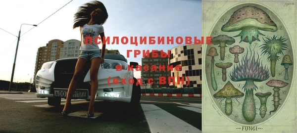первитин Богородск