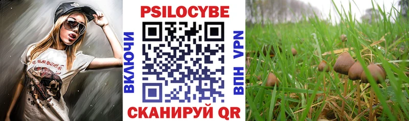 нарко площадка как зайти  Дедовск  Галлюциногенные грибы Magic Shrooms  KRAKEN зеркало 